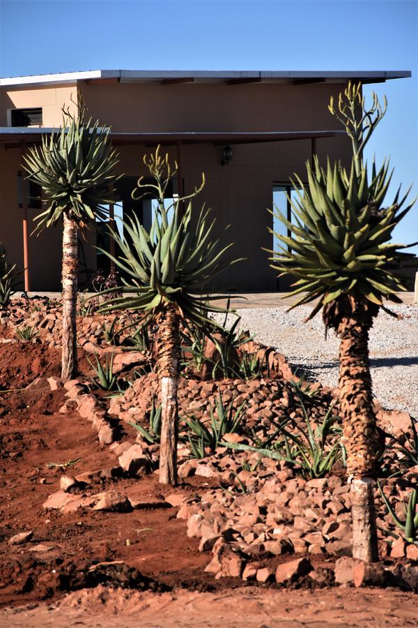 Cheetah View Lodge 옷지와롱고 외부 사진